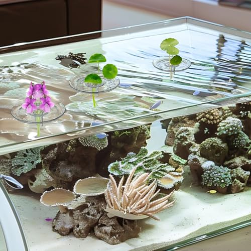 10 PCS Floating Aquarium Plant Holder, 2 Sizes Creative Floating Flower Display Stand, Clear Round Plastic Flower Bowl, Fish Tank Fixing Ring for Small & Single Flower Water Plants