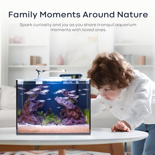 3 Gallon Small Fish Tank Glass Aquarium Set, Starter Kit with Heater Water Pump Cleaning Filter Bright Light Rocks Gravel Cleaning Tool, Leak-Proof Clear Rimless Desktop Spaces Saving Betta Fish
