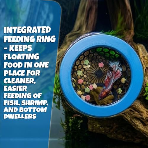 Formit Crafts Floating Betta Hide & Shrimp Cave – Aquarium Resting Hammock & Decorative Shelter, Feeding Ring & Safe Resting Shelter for Betta, Shrimp & Small Fish – Eco‑Safe