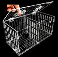 Magnetic Acclimation Box fish Breeder Nursery isolation Tank - size: 12"x6"x6"