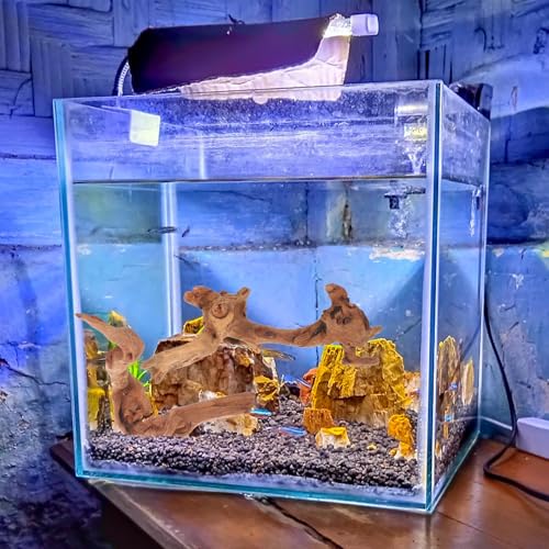 4pcs Aquarium Driftwood Branches for Fish Tank Décor, Natural Sinkable Wood Logs 15-20cm for Freshwater Fish Habitat and Reptile Hideout