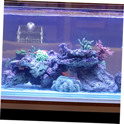 GANAZONO Aquarium Moss Holder Creative Acrylic Planter Fish Tank Plant Cup Easy Install Suction Cup