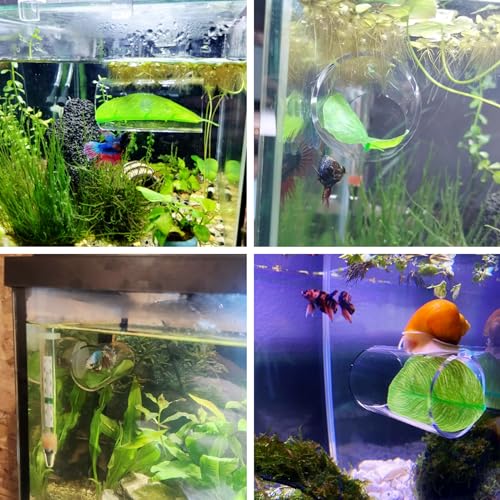 NAANEEZOO Betta Tube Tunnel, Hollow Design Fish Cave Hideout with Suction Cup, Safer Toys for Small Fish & Shrimp, Aquarium Decor