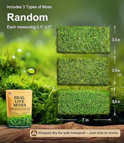 Live Moss Variety Pack for Reptiles– 3-Pack Mixed Real Terrarium Mosses (Each 3.5" x 7") – Live Sheet/Sphagnum Moss for Snake Gecko Turtle Frog Habitats, DIY Plant Décor – Fresh Reptiles Substrate