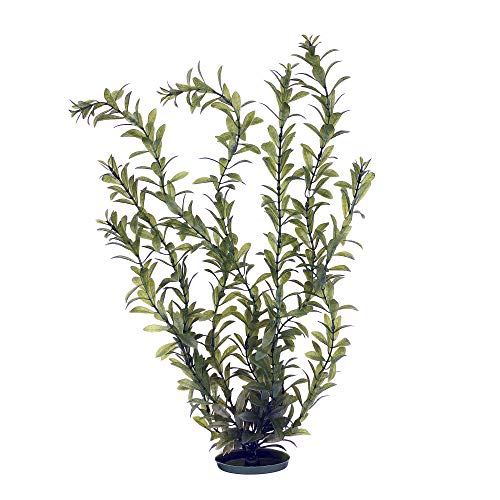 Marina Aquascaper Fish Tank Decorations, Hygrophila Plant, 20-Inch - size: Jumbo - 20"