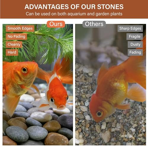 NUPICK 30lb Mexican Beach Pebbles, 2-3" Large River Rocks for Landscaping, Smooth Garden Rocks for Outdoor Paving, Natural Pebbles for Indoor Plants, Decorative Stones for Planters, Fish Tank, Fountai - color: Mixed, size: 2-3", 30lb