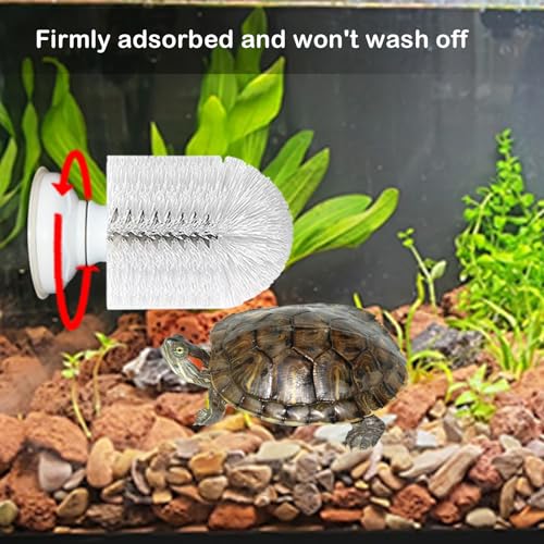Turtle Brush with Suction Cup, Screw The Upgraded Turtle Scrub Brush Tightly on The Glass, It is Not Easy to Fall Off and Slide, Helping The Turtle Remove Dirt on The Back and Abdomen.