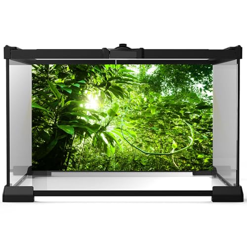 Jungle Aquarium Background Tropical Dense Jungle View Terrarium Background Morning Sun Flare Tropical Plants Fish Tank Background Sun Ray Over Tropical Forest Reptile Habitat Background 24x12in - color: Leaf Light Green, size: 24(W)x12(H)inches/ 60(W)*30c