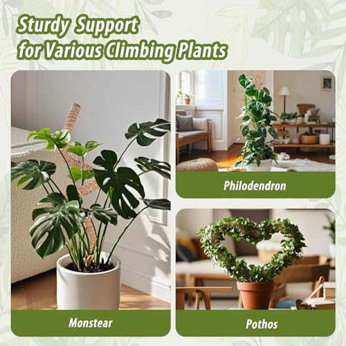 2 Pack Moss Pole, 28 Inch Monstera Plant Support, Moss Poles for Climbing Indoor Plants, Bendable Coco Coir Plant Support Stakes for Potted Plants, Pothos, Philodendron - size: 28 Inch - 2 Packs