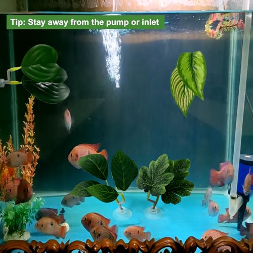 Lyreh 4pcs Betta Leaf Hammocks, 4 Styles Suction Cup Fish Tank Decor Leaves Fish Tank Plant Decor Accessories for Simulating Natural Habitats(Green)