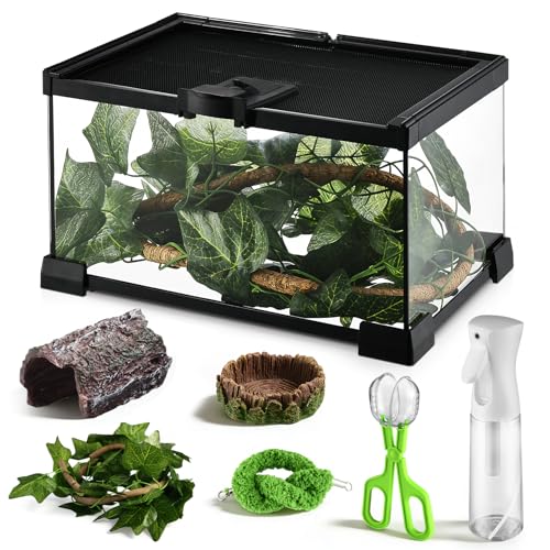 Reptile Terrarium Glass Kit 12" x 8" x 6" Starter Habitat for Tarantula, Succulents, Frogs, or Hermit Crabs, Tank with Escape-Proof Locking Lid - size: 2 gallon