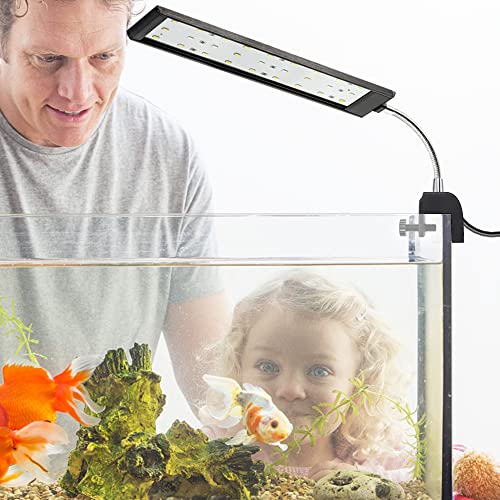DaToo Aquarium Light Small LED Clip Light for Fish Tank 10W, 1 Yr Warranty - size: 10W (Without Timer & Dimmer)