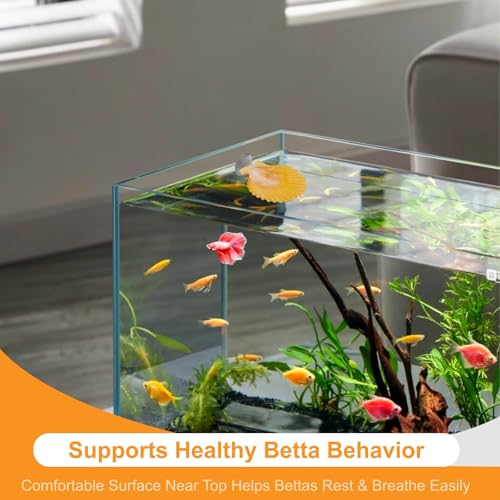 2Pcs Betta Fish Resting Spot Bed Shell House Dual Habitat Aquarium Hideout Toys for Beta Fish Floating Beds and Tank Hides Seashell Hide Accessories with Hammock Resting Spots and Hiding