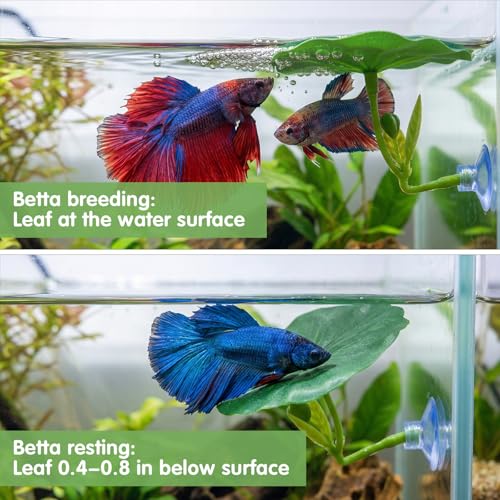 4 Pack Betta Fish Hammock Plant Leaf Pad, Improves Betta Health by Simulating The Natural Habitat, Fish Spawning Grounds Breeding Resting Bed, Fishes Tank Accessories Aquarium Décor