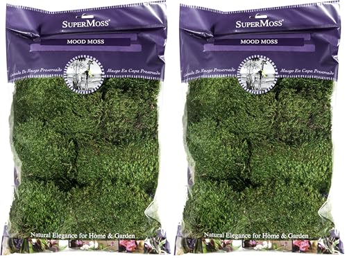 Super Moss Mood Moss Preserved Natural Green 1200cuin, Fresh Green, 200 in3 Bag (Appx. 8oz) (21539) (Pack of 2) - color: Fresh Green, size: 8 Ounce (Pack of 2)