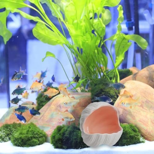 RUIAN Cute Aquarium Decorations Ceramic Conch Shell-Shaped House Thematic Betta Fish Tank Accessory Decor Ornament Hideout Cave for Fish Playing or Hiding,Hamster House,Craft Projects (Pink) - color: Pink