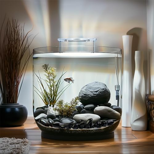 HappyFiller 18 LB Black Pebbles Decorative Polished Terrarium Rocks Stones for Aquarium,Fish Turtle Tank,Fountain,Plants Top Dressing,Cactus,Succulents,Garden Landscaping,0.8-1.6 Inch - color: Black
