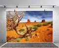 Leyiyi 5x3ft Monument Valley Photography Background American National Park Navajo Tribal Park Cowboy Western Desert Plant Rock Dry Trunk Warship Landmark Film Polyester Backdrop Terrarium Background - color: Desert4, size: 5x3ft-P