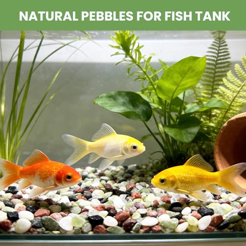 Gravel for Plants, 3/8 Inch Pebbles Polished Decorative Aquarium Gravel - Small River Rocks for Fish Tank, Succulent, Vase, Bird Bath, Garden Landscaping and Top Dressing-3LB