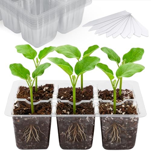 Bonviee 10 Packs Seed Starter Tray with Drainage Holes, Reusable & Durable, Clear for Root Monitoring, Easy to Repotted Without Root Damage, 6 Cells per Tray - color: Clear, size: 60 XL Cells, NO light