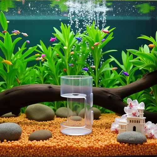 Clear Betta Fish Feeder - Fish Feeding Tube, Shrimp Feeding Dish, Betta Feeders with Suction Cup, Transparent Aquarium Feeders Bird Feeder, Fishs Tank Accessories