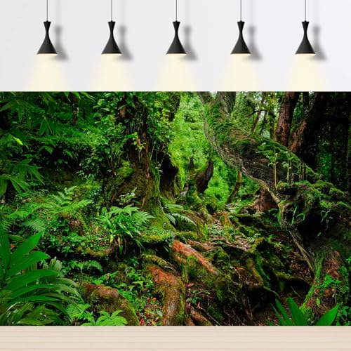 Rainforest Reptile Tank Background Tropical Jungle Forest Fish Tank Background Giant Tree Roots Lush Ferns Moss Reptile Tank Backgrounds Jungle Trees Nature Reptile Enclosure Backgrounds 24x12in - color: Pure Green, size: 24(W)x12(H)inches/ 60(W)*30cm(H)