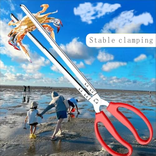 Stainless steel crab and reptile feeding pliers, 15 inch double pack, straight mouth and curved serrated jaws, suitable for live seafood and pet care