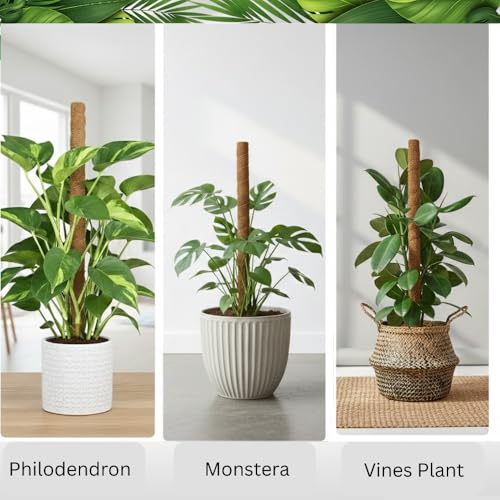 2 Pack 28" Bendable Moss Pole Monstera Plant Support | Monstera Moss Pole for Plants Indoor for Climbing Indoor Potted Plants | Stackable Plant Stakes for Pothos, Philodendron, & Eco Friendly