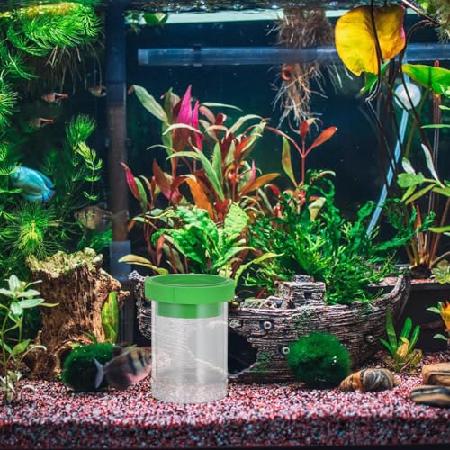 BESPORTBLE Floating Fish Breeding Isolation Box with Mesh Divider, Small Aquarium Guppy Breeding Hatchery Incubator Tank for Fish Egg Hatching and Nursery, Green Plastic Pet Aquarium