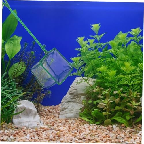 Kisangel 2pcs Fine Mesh Aquarium Fish Nets with Plastic Handles 4-inch Square Scoop Nets for Pond and Fish Tank Cleaning for Aquarium Maintenance