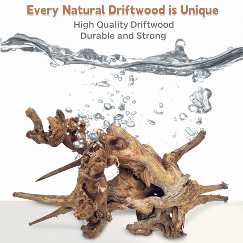 PINVNBY Natural Driftwood for Aquarium Fish Tank Decorations Assorted Branches Bearded Dragon Tank Accessories Terrarium Decor (6.5-12 inches/4 Pack) - size: M:Mopani Driftwood (6.5 - 12 inches/4 Pack)