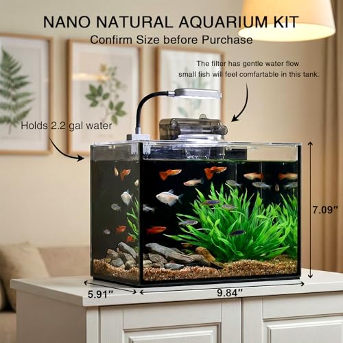 2 Gallon Betta Fish Tank, Small Aquarium Kit,Glass Small Fish Tank,Betta Fish Tank with a lid and Light and Filter, Small Transparent Glass Fish Tank with Light and Filter (Black Glass Background) - size: 2 Gallon