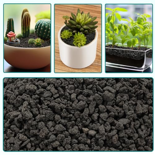 2.5lbs Small Lava Rocks for Plants Drainage, 1/5 Inch Black Gravel Mulch for House Plants, Succulent Rocks Pebbles for Planters,Cactus, Bonsai Tree, Pure Volcanic Rocks, Top-Dressing - color: Black
