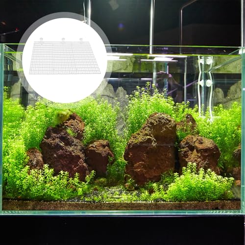 Tofficu Fish Tank Divider 3pcs Acrylic Isolation Board 30x15cm with 10 White Suction Cups Aquarium Breeding Partition for Small Fish Separation