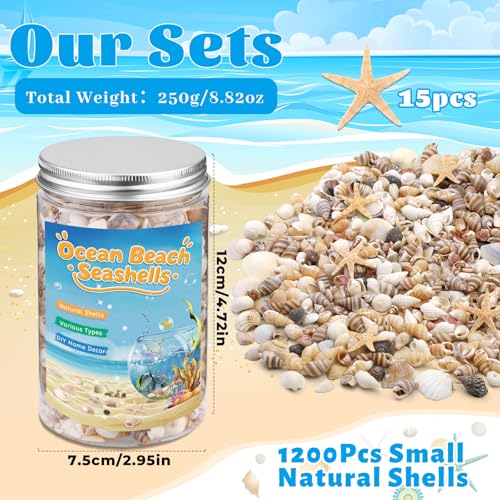 1200 Pcs Tiny Sea Shells, Seashells for Crafts with Small Shells Starfish Mixed Ocean Beach Spiral Seashells for Beach Party, Fish Tank and Vase Filler, Wedding Decor, Diy Jewelry Candle Making