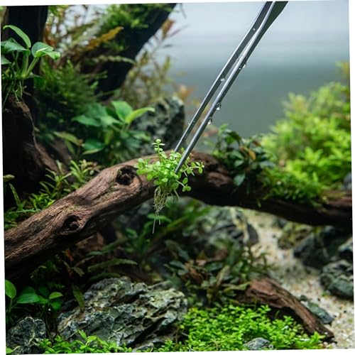3Pcs Aquascaping Tools, Stainless Steel Aquarium Plant Tools with Straight & Curved Tweezers and Curved Scissors for Aquatic Plant Care & Tank Maintenance - Aquascape