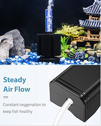 Pawfly Aquarium Air Pump with Nano Bio Sponge Filter Kit Air Control Valve Airline Tubing and Check Valve Accessories - style: 3-20 Gal