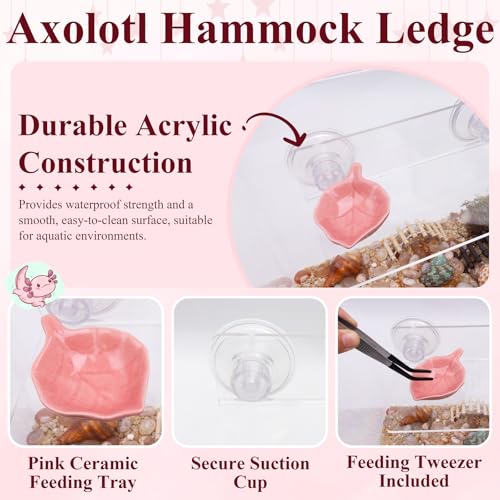 Axolotl Hammock Ledge for Aquarium with Feeding Dish Ceramic Tray Suction Cup and Feeding Tweezer Axolotl & Bearded Dragon Aquarium Accessories Kit (7.8 x 3.9in)