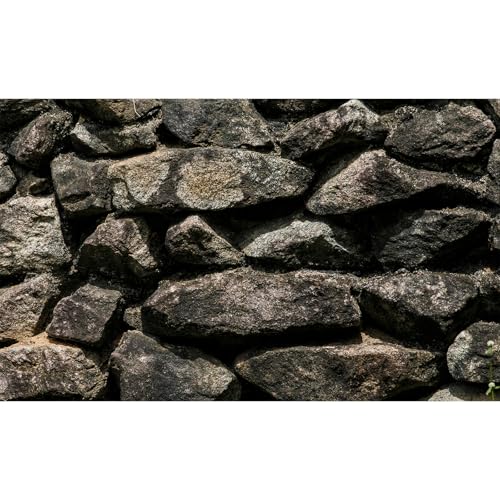 Stone Aquarium Background Natural Dark Rock Fish Tank Background Rocky Glass Terrarium Background Rock Wall Aquarium Background Rock Stone Reptile Habitat Background Stone Tank Backdrop 24x16in - color: Dark Brown, size: 24(W)x16(H)inches/ 60(W)*40cm(H)