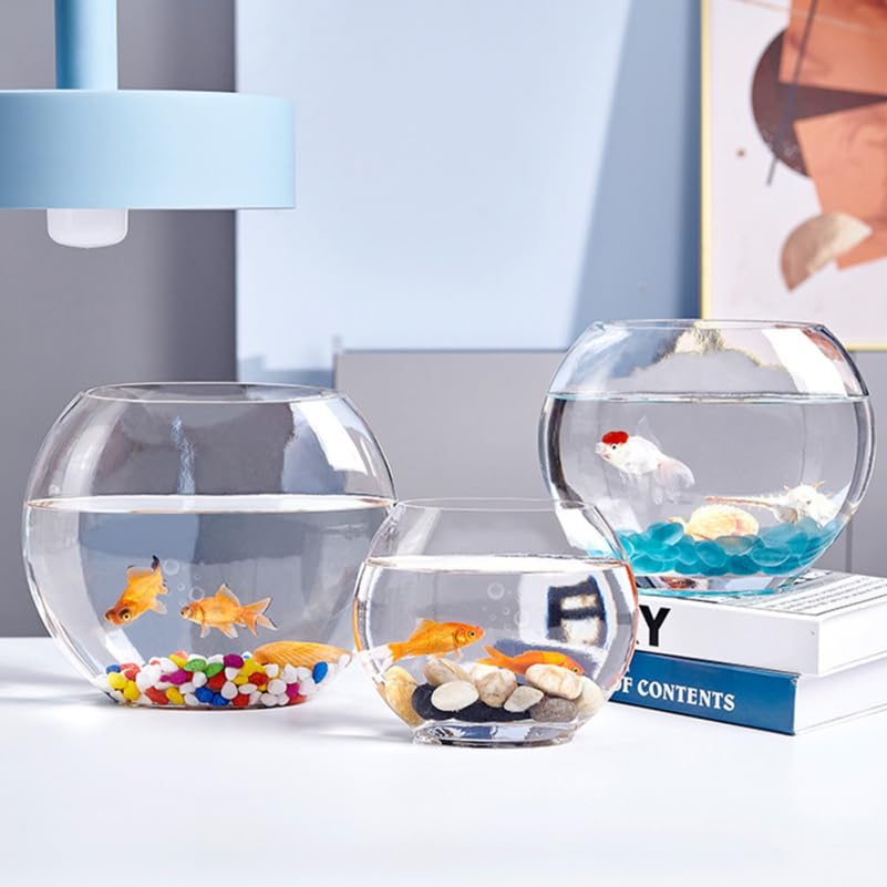 Multi-Function Glass Fish .84 Inch Transparent Aquarium Bowl with Fish Accessories for Home Desktop Office Decor - size: 28X23cm