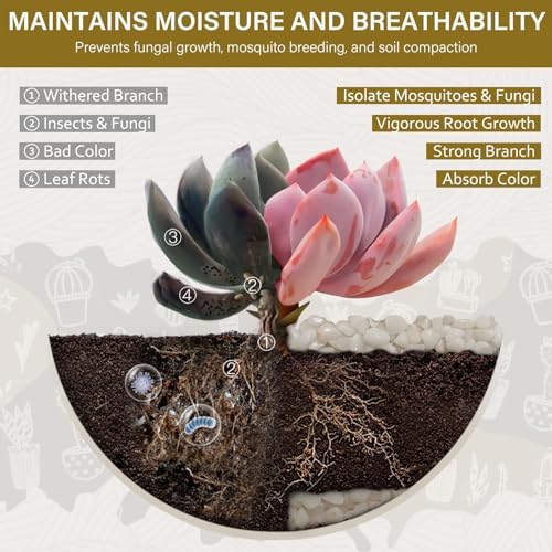6 lbs Pebbles for Indoor Plants, 3/8 Inch Pea Gravel for Fish Tank, Polished Decorative Rocks for Succulent, Natural River Stones for Vases, Cactus, Landscaping, Bird Bath, Aquarium, White - color: White, size: 6 lb
