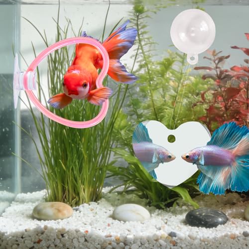 Betta Fish Toys, 2 PCS Heart Fish Exercise Ring and Nitrifying Balls Set, Heart Betta Mirror Toy Set, Feeding Ring with Suction Cup, Fishing Tank Accessories for Gifts (Pink) - color: Pink Heart