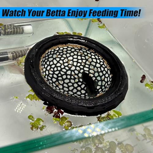 Aquarium Floating Betta Fish Skins, Betta or Shrimp Feeder, Cave and Hammock, Small Fish Feeding Rings, Aquarium Hiding Feeding Decorative Accessories (White) - color: White