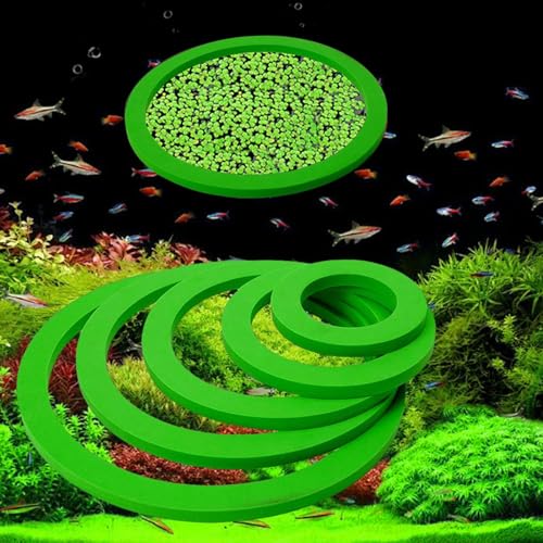 10 Pieces Aquarium Plant Rings Plant Corral Plant Feeding Rings EVA Material Grass Blocking Rings Suitable for Fish Tank, Green - color: Green