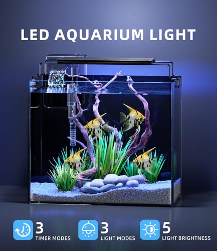 3 Gallon Fish Tank Aquarium Kit with Filter, LED Light with Timer, Siphon Vacuum Cleaner, Lid, Self-Cleaning Glass Rimless Betta Tank - size: 3 Gallon without Heater