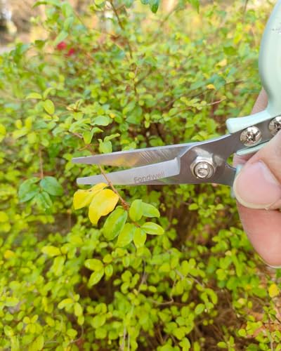 Fondwell 6" Pruning Shears Garden Scissors: Ultra Sharp Garden Clippers - Reliable Flower Snips for Trimming Small Plants - style: 6" Straight