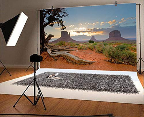 Leyiyi 6x4ft Monument Valley Photography Background American National Park Navajo Tribal Park Cowboy Western Desert Weathering Rock Warship Landmark Film Backdrop Polyester Terrarium Background - color: Desert2, size: 6x4ft-P
