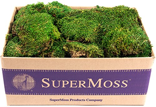 SuperMoss (21538) Mood Moss Preserved, Fresh Green, 3 Pounds - color: Fresh Green, size: Appx. 3 lb Bulk Case