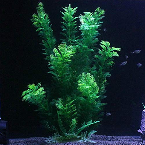 Hamiledyi Aquarium Plants Plastic Decor Fish Tank Green Decorations Plants Ornament Safe for All Fish,Extra Large 23-inch Tall, 2 Pack（Green Style A） - color: Green（style A）