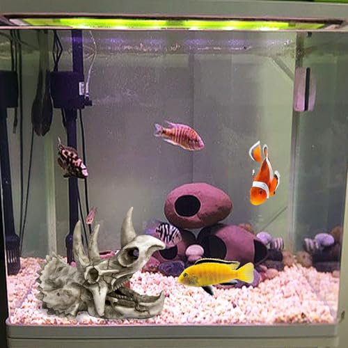 kathson Large Resin Dinosaur Triceratops Skull Décor Aquarium Decoration Reptiles Hideout Fish Tank Ornament Home Landscape Decor - style: Triceratops Skull